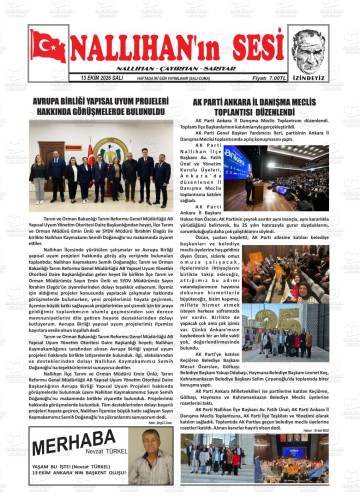 Nallıhan'ın Sesi gazetesi ilk sayfası