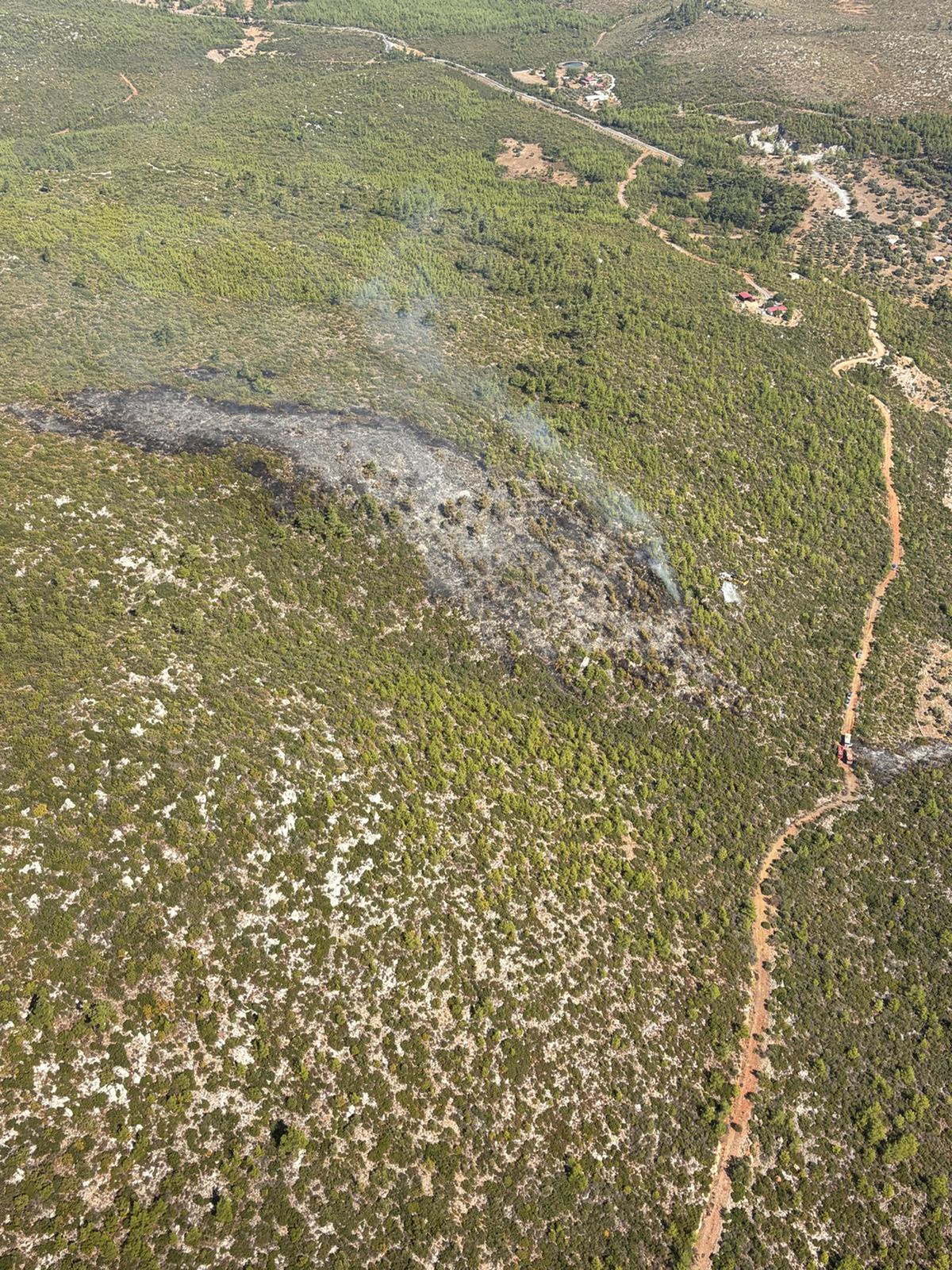 [BELEDIYE · Muğla] Muğla Bodrum'da orman yangını yaklaşık 2,5 saatlik müdahaleyle kontrol altına alındı