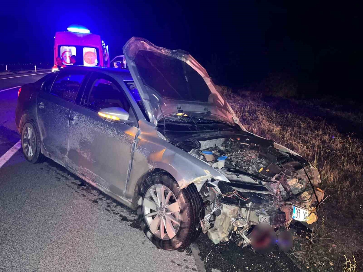 Kastamonu Hanönü'de domuz sürüsüne çarpan otomobilde 2 kişi yaralandı