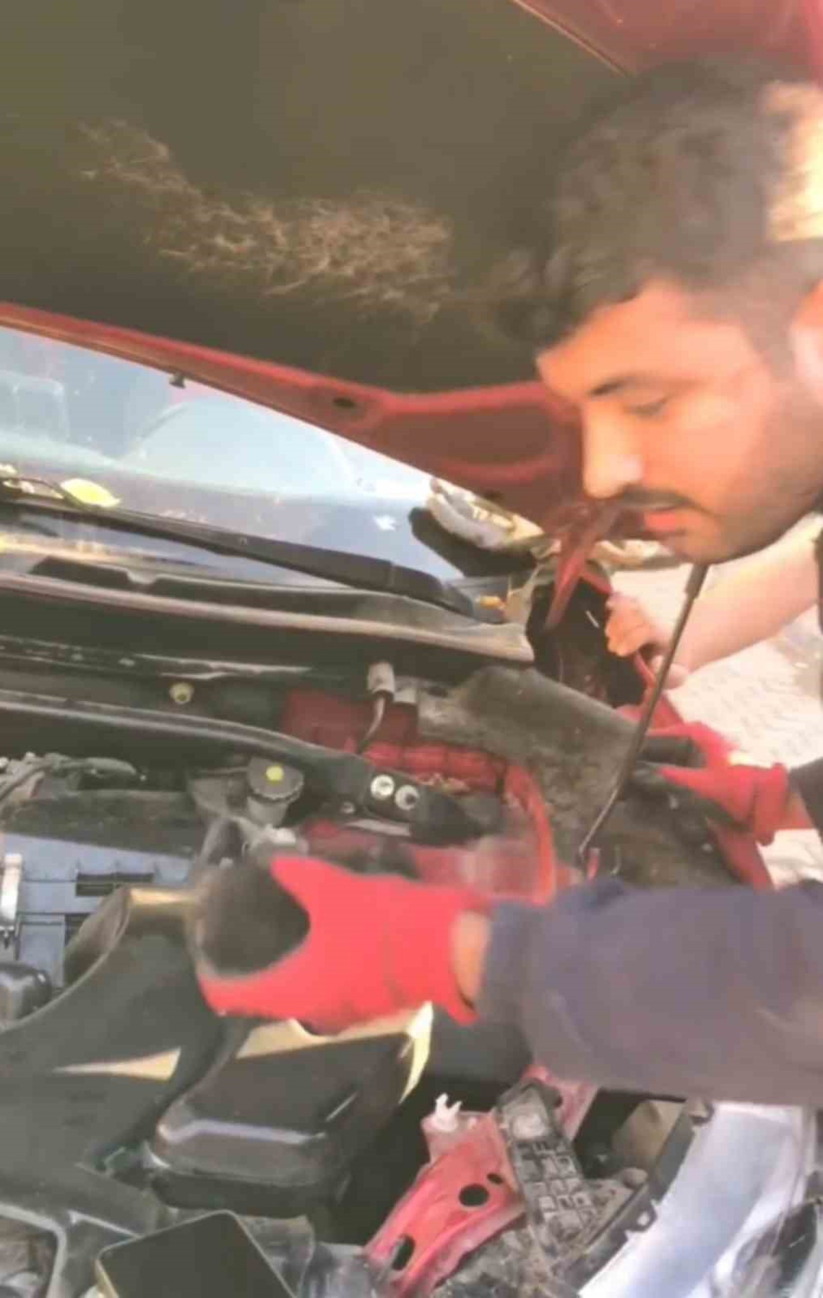 [BELEDIYE · Diyarbakır] Dicle Üniversitesi lojmanlarında motora sıkışan 3 yavru kediyi itfaiye kurtardı