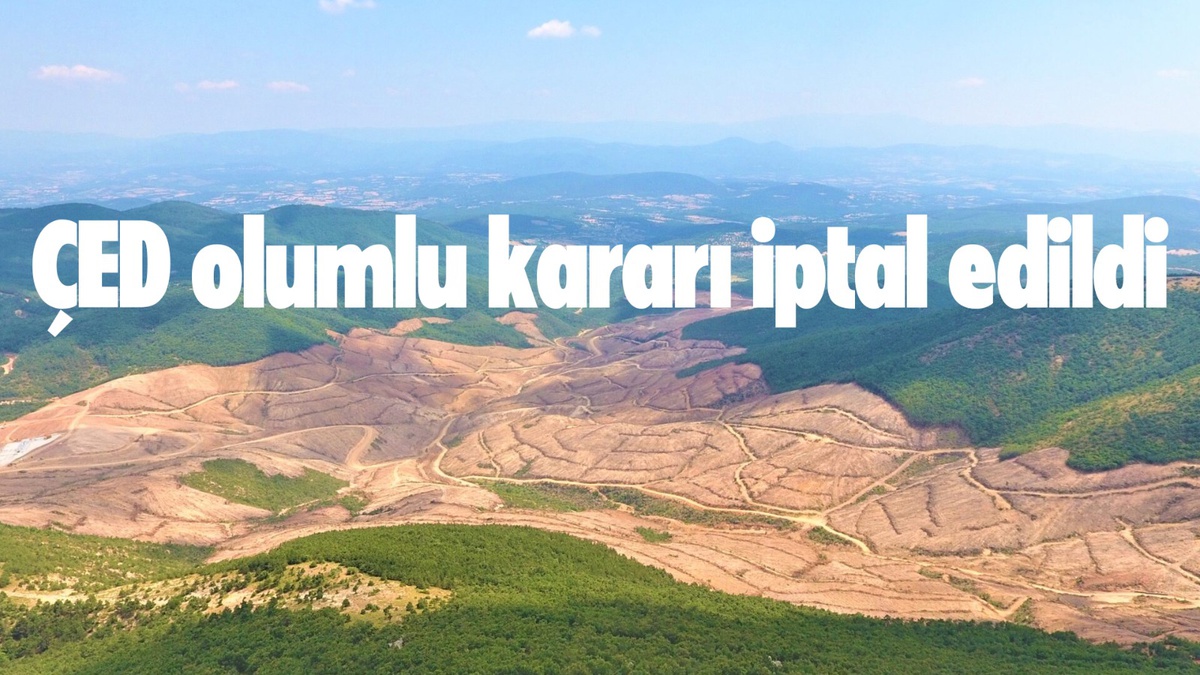 Çanakkale'de mahkeme altın-gümüş madeni projesinin ÇED olumlu kararını iptal etti