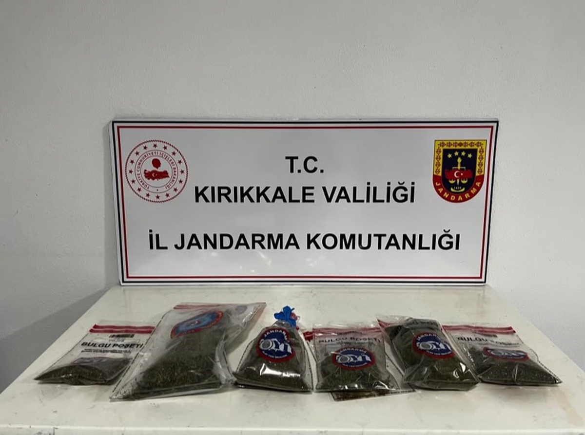 Kırıkkale Hacılar'da bahçede 14 kök kenevir ve 1 kilo 240 gram kubar esrar bulundu