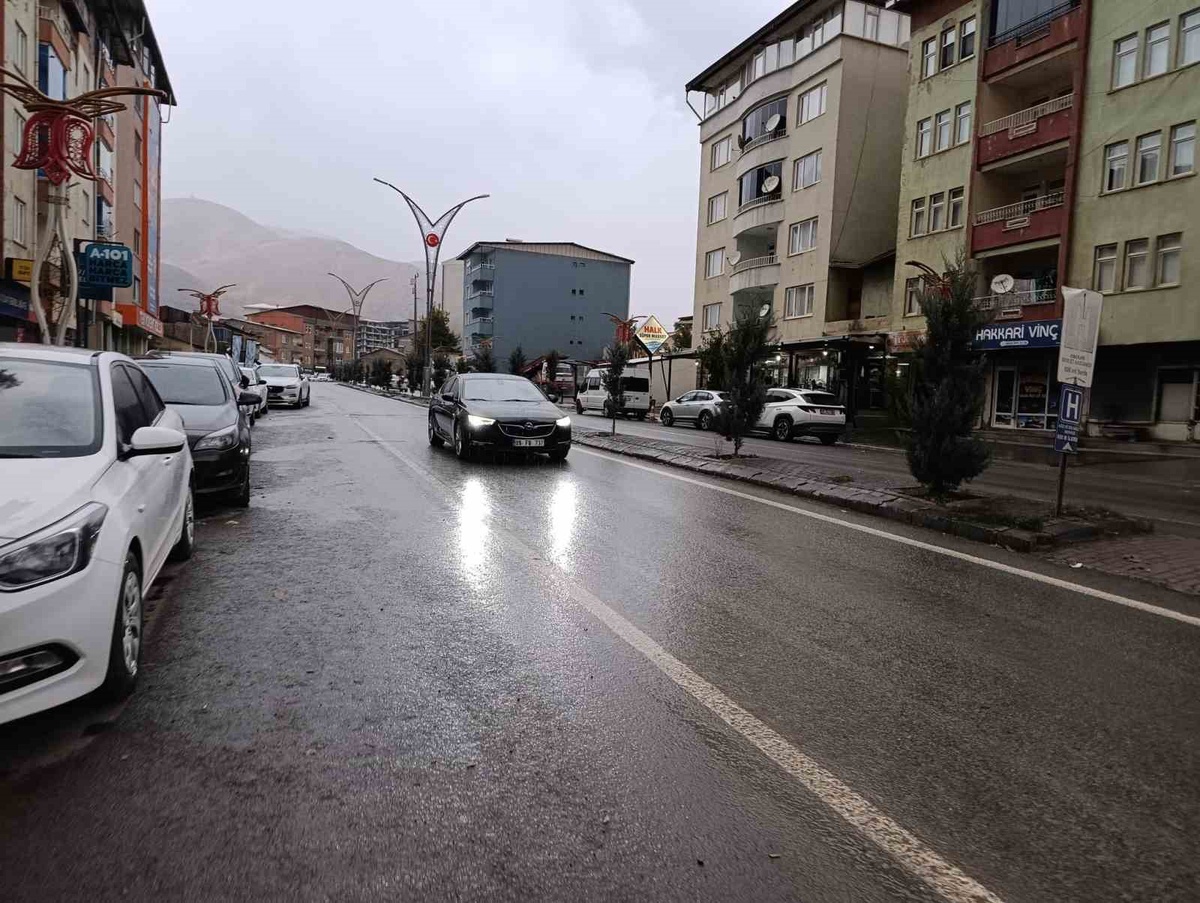 Hakkari'de sağanak ve sis sürüyor, Hakkari-Van, Hakkari-Çukurca yollarında kaya riski var