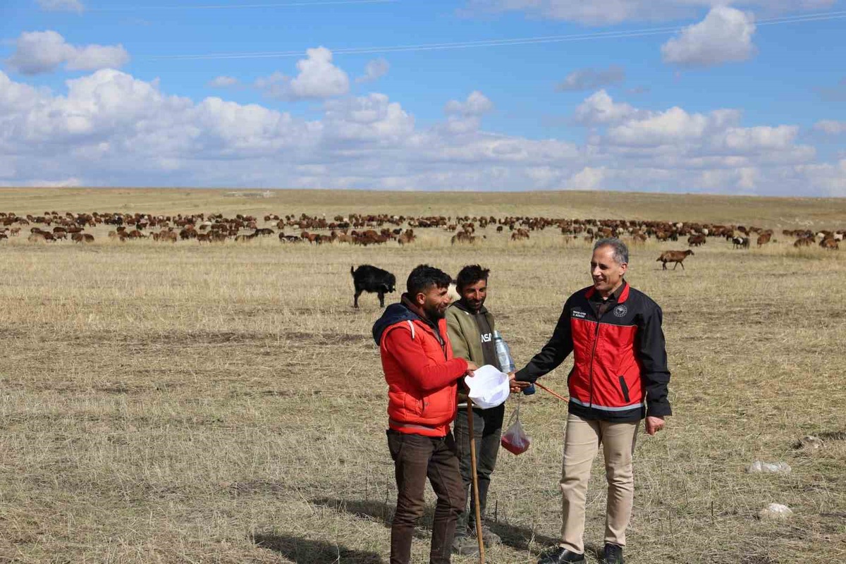 Kars'ta İl Tarım ve Orman Müdürü Aydın, meralarda çobanlarla bir araya geldi