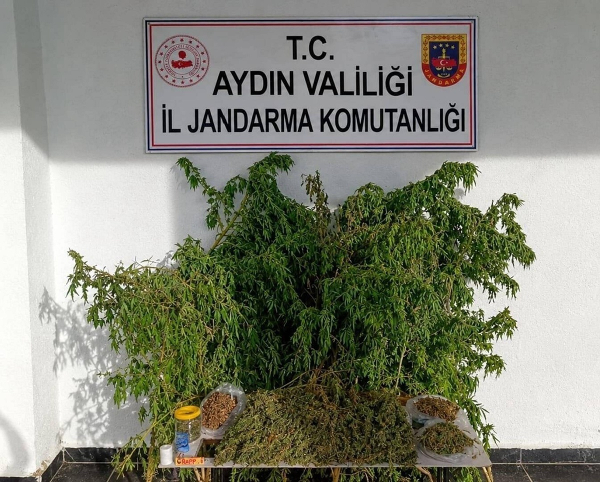 Aydın İncirliova'da jandarma operasyonunda evde 3 kilo 42 gram esrar ele geçirildi