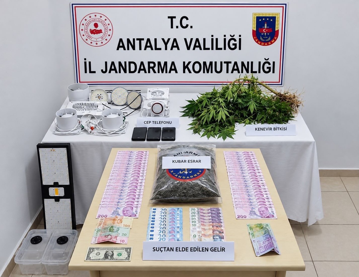 Manavgat'ta jandarma operasyonunda uyuşturucu yetiştiren şüpheli gözaltına alındı