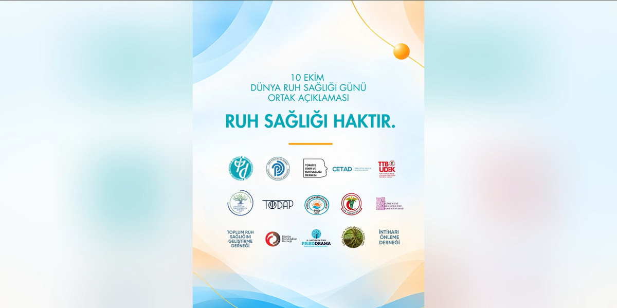 Ruh sağlığı meslek örgütleri sosyal medya erişim engellerinin kaldırılmasını istedi