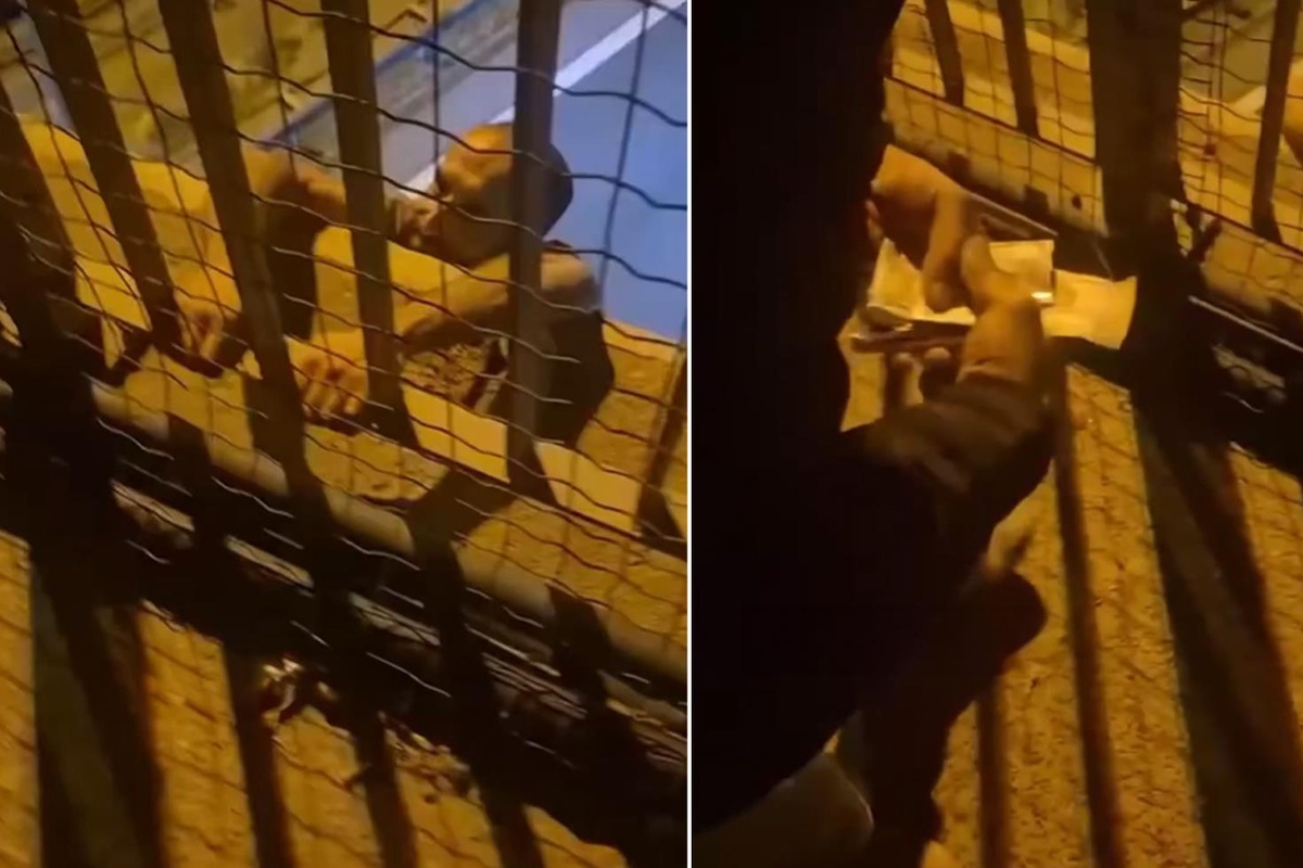 Trafik cezası sonrası intihara kalkıştı! İkna etmeye çalışan kişinin sözleri şaşırttı