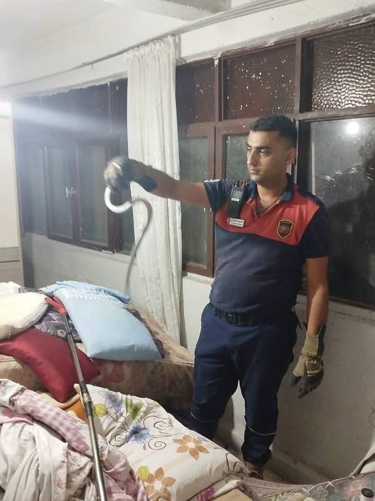Hatay'ın Dörtyol ve Belen ilçelerinde yılanlar itfaiye ekiplerince doğaya bırakıldı