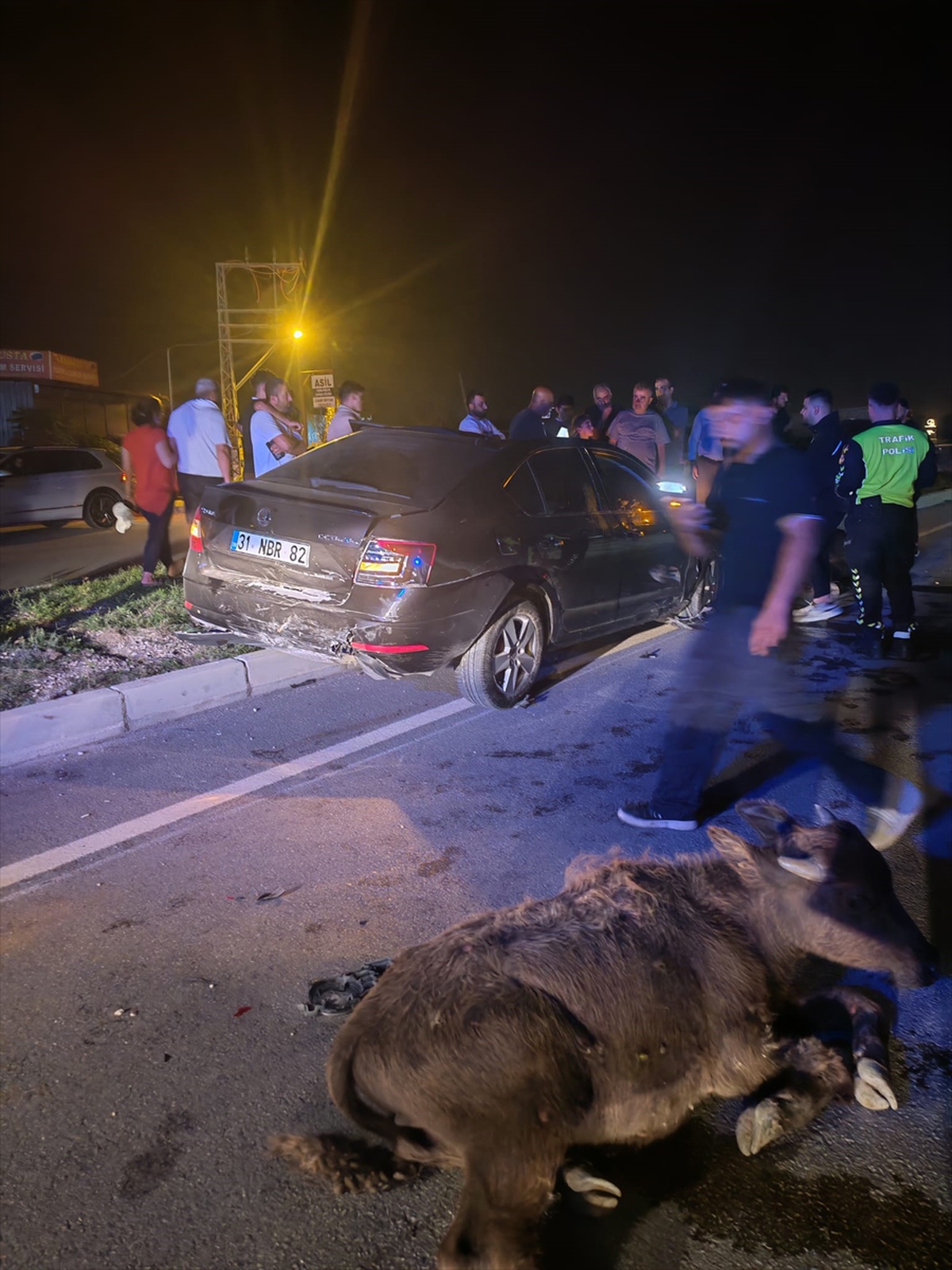 Hatay Samandağ'da 3 büyükbaş hayvana çarpan otomobilin sürücüsü hastaneye kaldırıldı