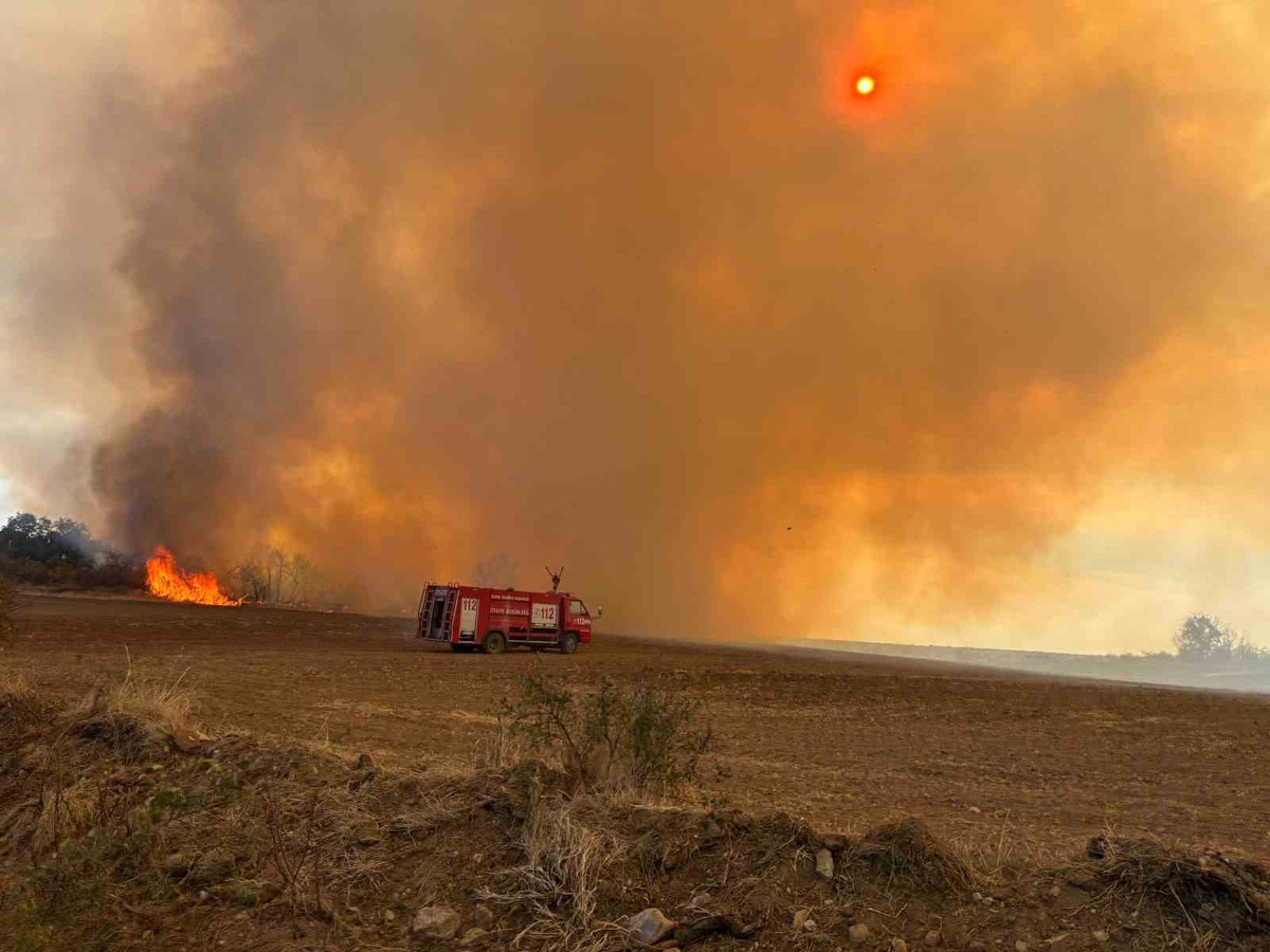 Edirne Lalapaşa'da yangın büyümeden söndürüldü, kaplumbağalar da etkilendi