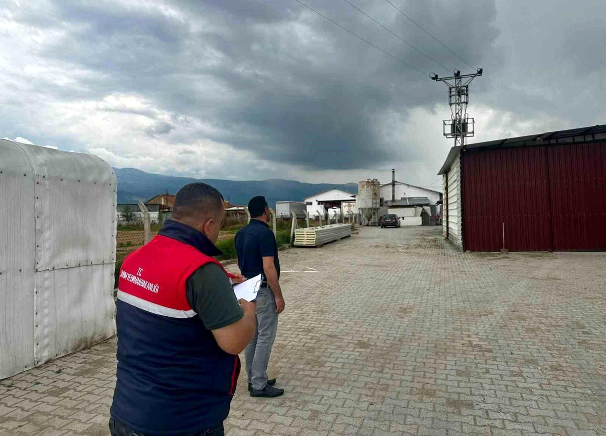 [BELEDIYE · Afyonkarahisar · Başmakçı] Kanatlı hayvan işletmelerine yönelik denetim