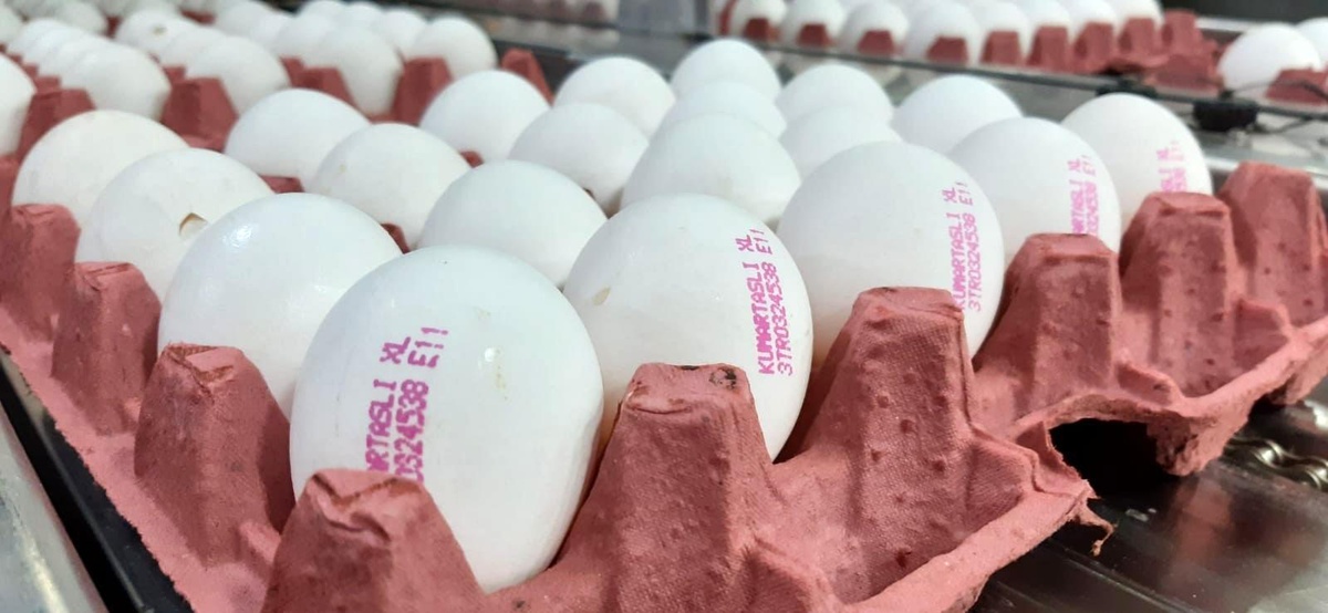 [BELEDIYE · Afyonkarahisar · Başmakçı] Afyonkarahisar'da Yumurta Fiyatları Yükseliyor