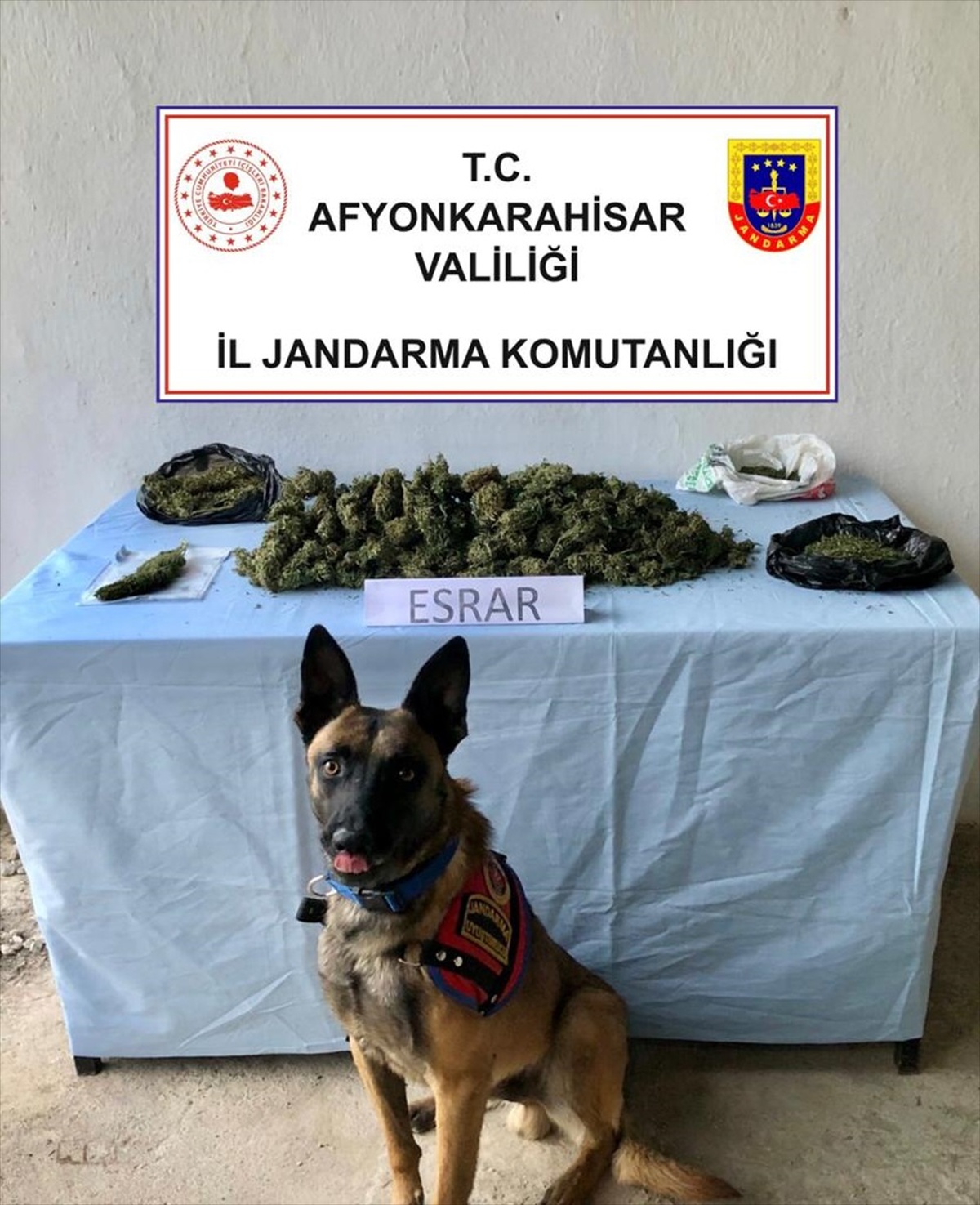 [BELEDIYE · Afyonkarahisar · Başmakçı] Afyonkarahisar'da uyuşturucu operasyonu: Bir kişi gözaltına alındı