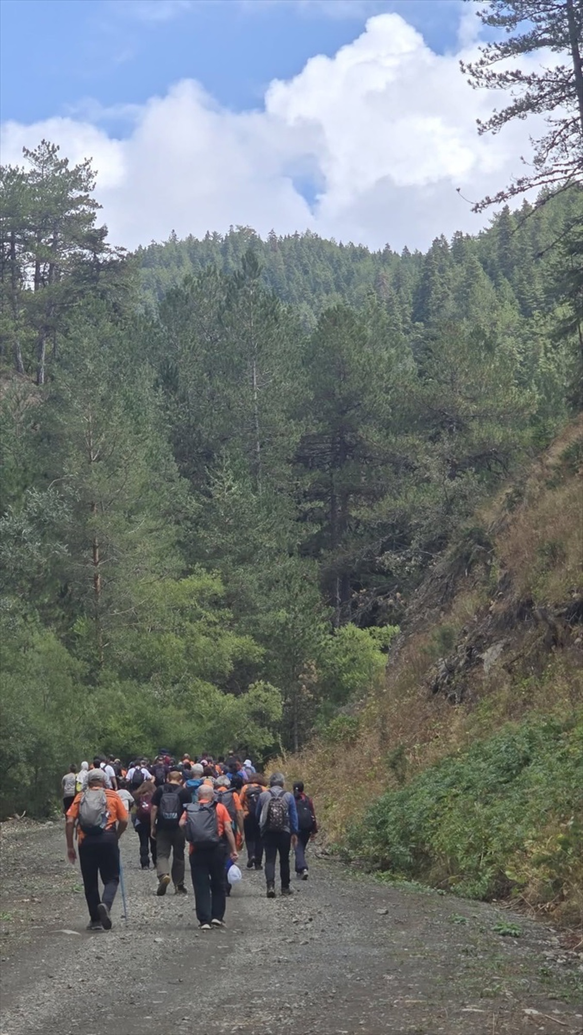 [BELEDIYE · Afyonkarahisar · Bayat] Bayat'ta Doğa Yürüyüşü Etkinliği Düzenlendi