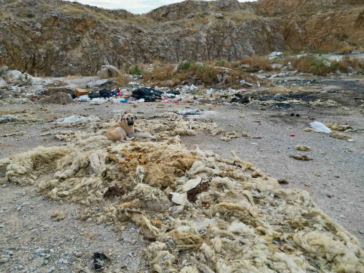 [BELEDIYE · Afyonkarahisar · Bolvadin] Bolvadin'deki eski kum ocağı kaçak atık çöplüğüne döndü