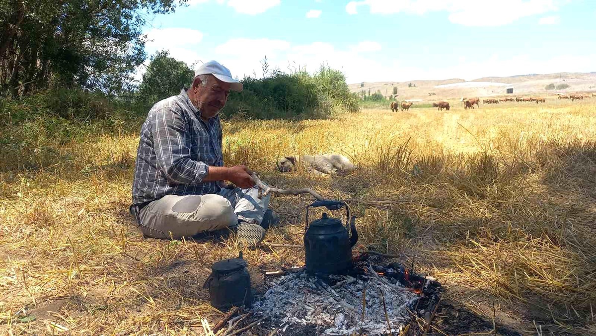 [YEREL / KAMU · Afyonkarahisar · Çobanlar] Yozgat'ta Çobanların Vazgeçilmezi: Kara Demlik Çayı