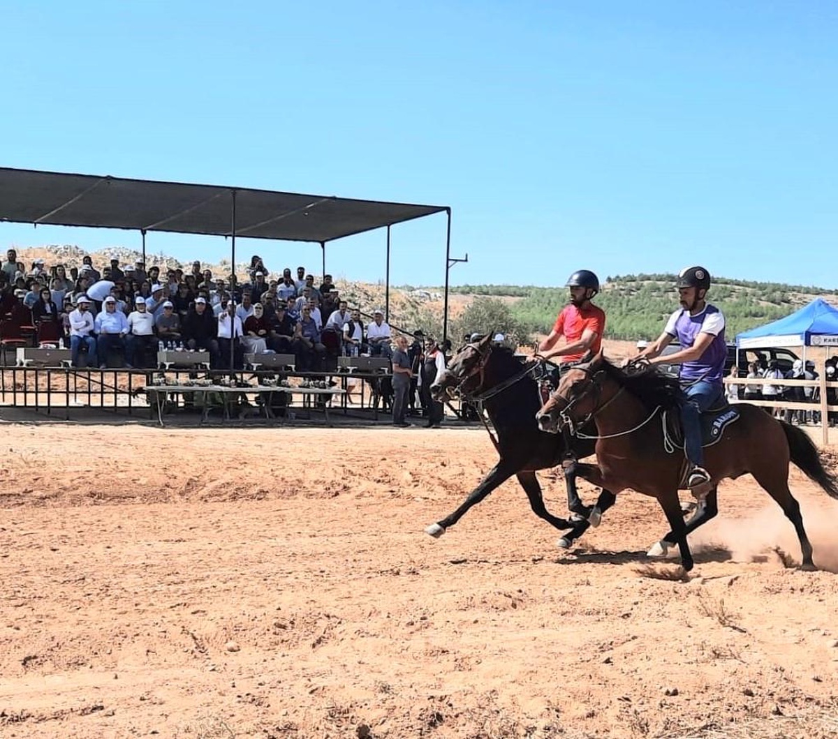 [YEREL / KAMU · Afyonkarahisar · Dazkırı] Afyonkarahisar'da Rahvan At Yarışları Heyecanı