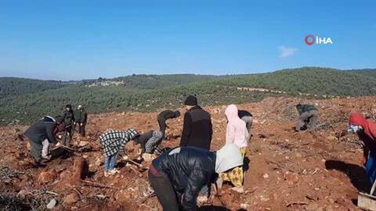 [YEREL / KAMU · Afyonkarahisar · Dinar] Afyonkarahisar'ın dağları Diyarbakırlı işçilerin emekleri ile yeşillenecek