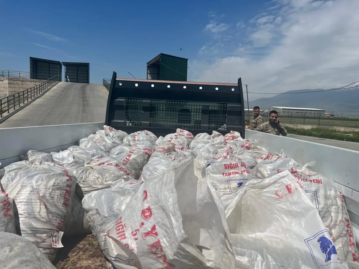[BELEDIYE · Ağrı] Ağrı'da Van'dan Doğubayazıt'a kaçak getirilen 2 ton inci kefali ele geçirildi