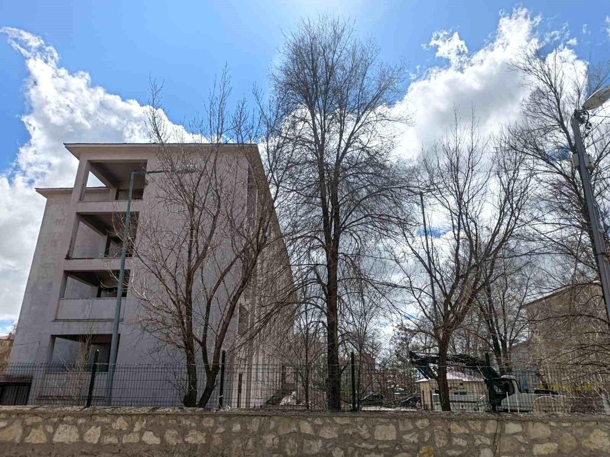 [YEREL / KAMU · Ağrı · Diyadin] Diyadin'de eski hükümet konağı için yıkım süreci başladı