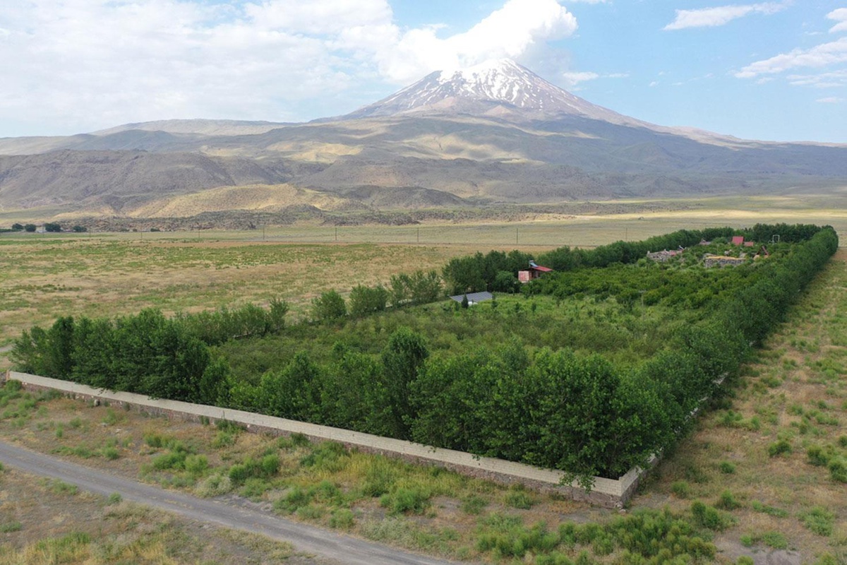 [BELEDIYE · Ağrı · Doğubeyazıt] Ağrı Dağı'nın yakınlarındaki çorak araziye kurulan bahçede meyve hasadı yapıldı