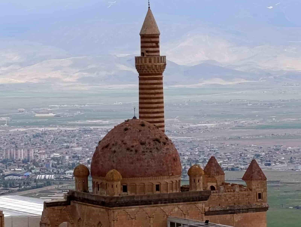 [YEREL / KAMU · Ağrı · Doğubeyazıt] İshakpaşa Sarayı'nın kubbesindeki otlar ziyaretçilerin dikkatini çekti