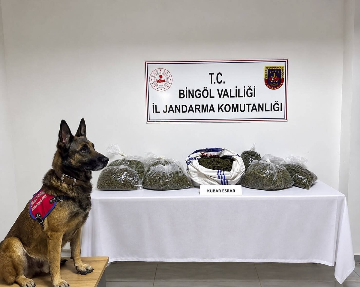 Bingöl'de jandarma 25 olaya müdahale etti, uyuşturucu madde ve silah ele geçirildi.