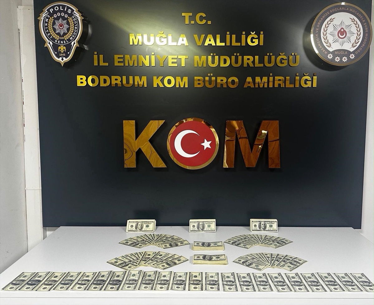 Bodrum'da sahte dolar operasyonunda 46 bin 200 dolar ele geçirildi, zanlı tutuklandı