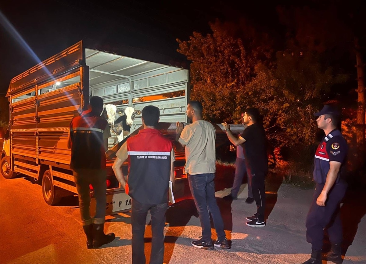 [YEREL / KAMU · Yozgat · Çayıralan] Yozgat'ta Şap Hastalığı Soruşturması: Besiciye 105 Bin Lira Ceza