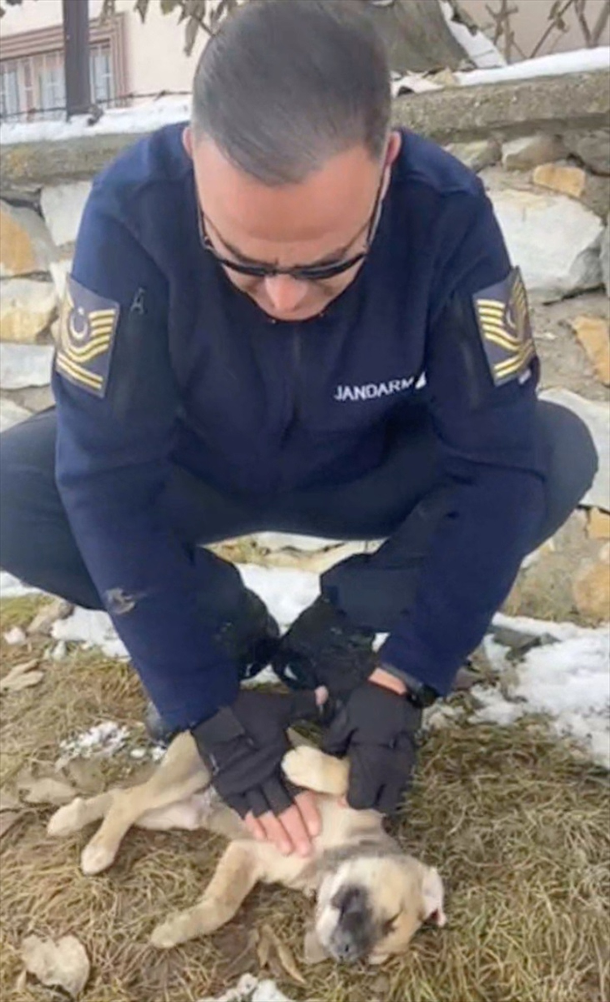 [YEREL / KAMU · Yozgat · Çayıralan] Jandarma Komutanı, Donmak Üzere Olan Köpek Yavrısını Kurtardı