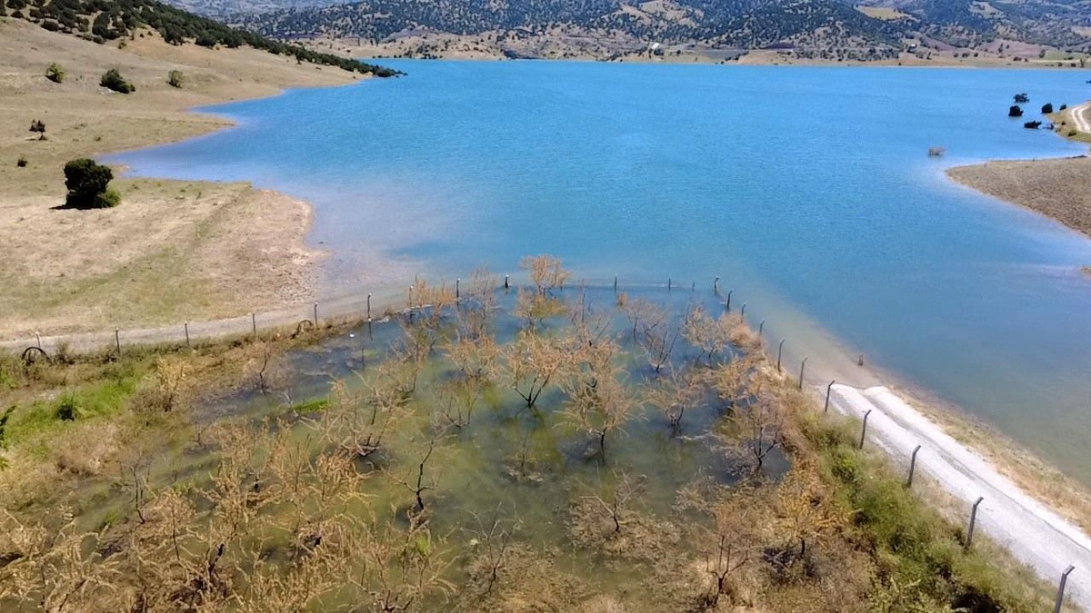 [YEREL / KAMU · Yozgat · Çekerek] Yozgat'ta badem ağaçları sular altında kaldı