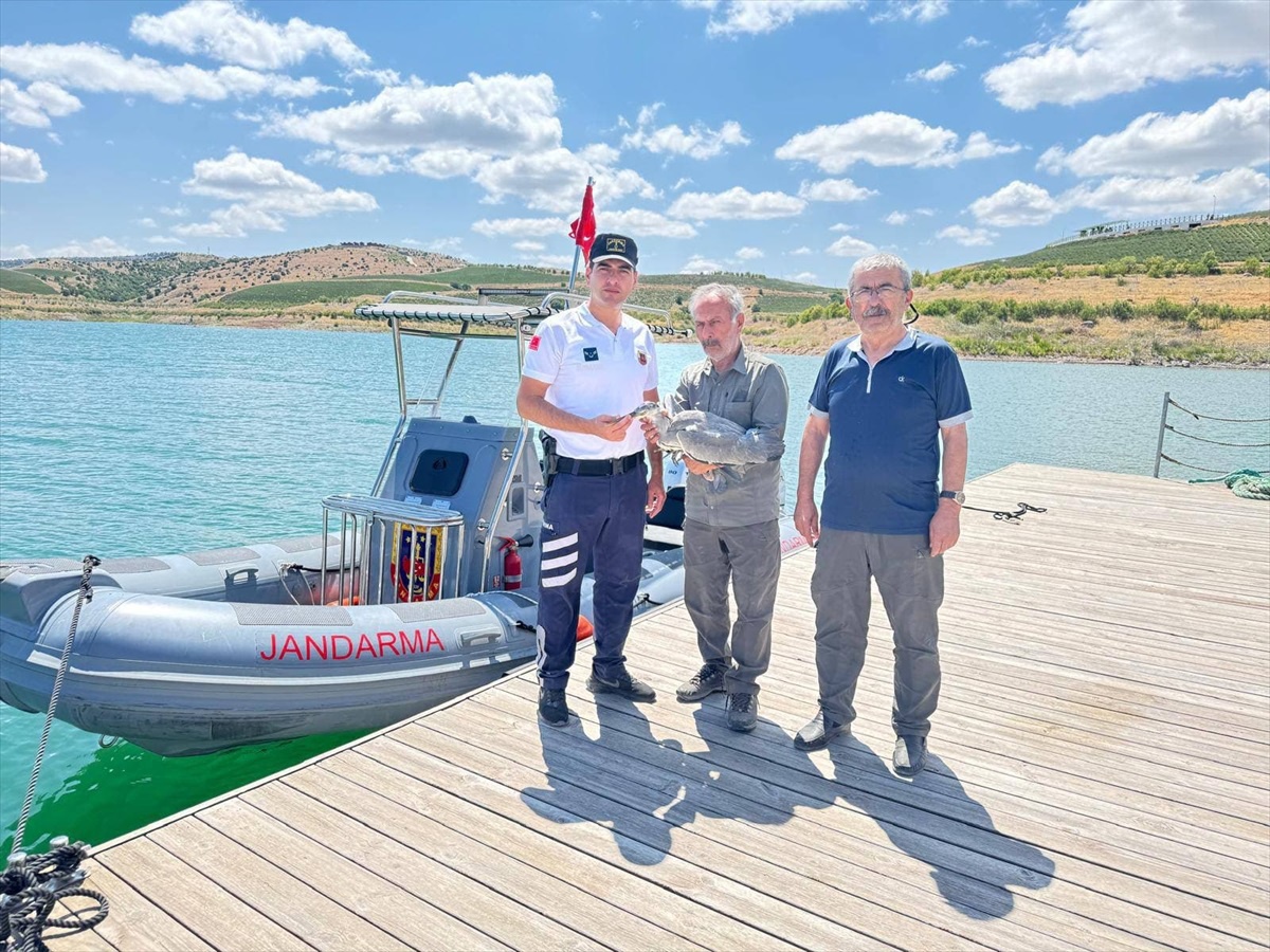 [YEREL / KAMU · Yozgat · Çekerek] Yozgat'ta Yaralı Gri Balıkçıl Kuşu Tedavi Altına Alındı