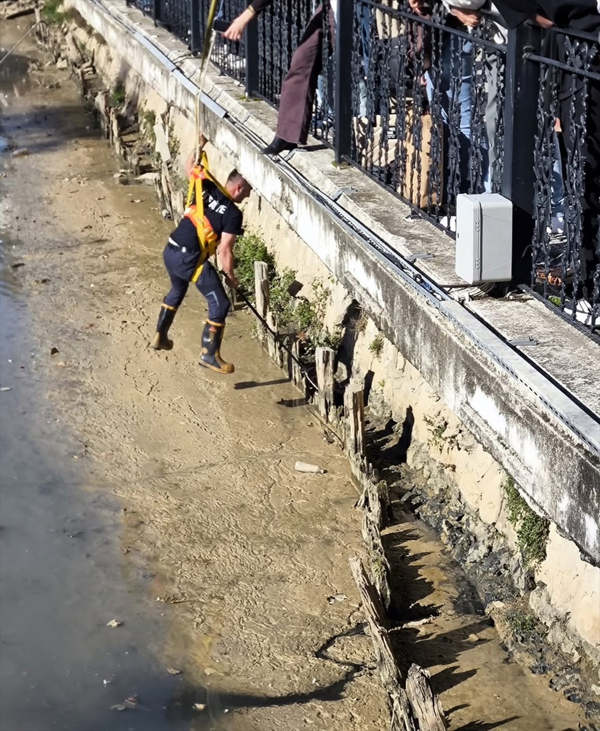 [BELEDIYE · Yalova] Yalova'da dere yatağında mahsur kalan iki kedi itfaiye ekiplerince kurtarıldı
