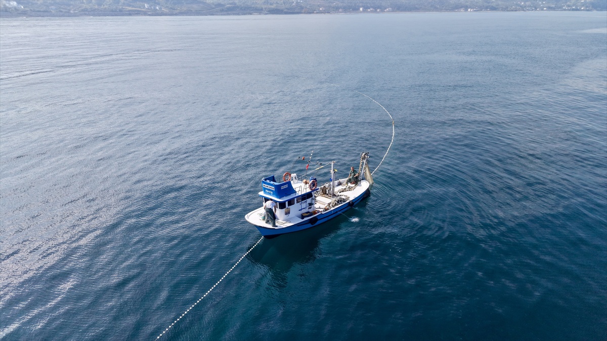 Sinop Türkeli'de balıkçılar bol palamutla limana döndü, av dronla görüntülendi