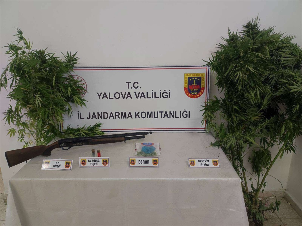 [BELEDIYE · Yalova · Altınova] Yalova'da Kenevir Satışı Yapan İki Zanlı Gözaltına Alındı