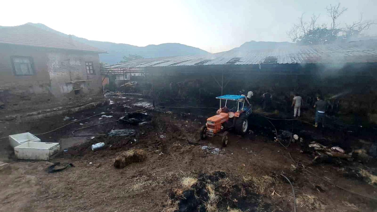 [YEREL / KAMU · Yalova · Armutlu] Burdur'da Saman Yangını: 4 Büyükbaş Hayvan Telef Oldu