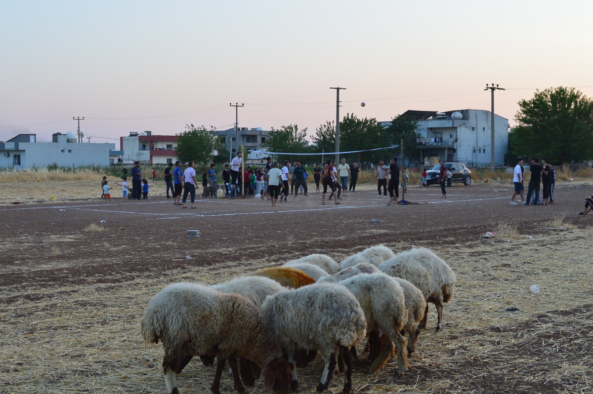[YEREL / KAMU · Yalova · Çınarcık] Mardin'de Köylüler Kendi İmkanlarıyla Kurdukları Toprak Sahada Voleybol Oynuyor