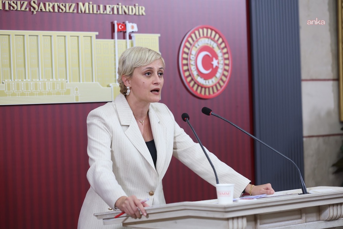 DEM Partili Koca, Halk TV'ye kayyım atanmasını basın özgürlüğüne darbe saydı