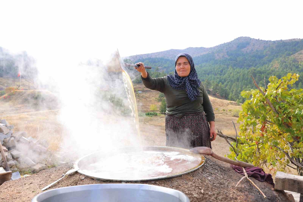 Kahramanmaraş Ekinözü'nde üzüm pekmezinin kilosu 800 liradan alıcı buluyor