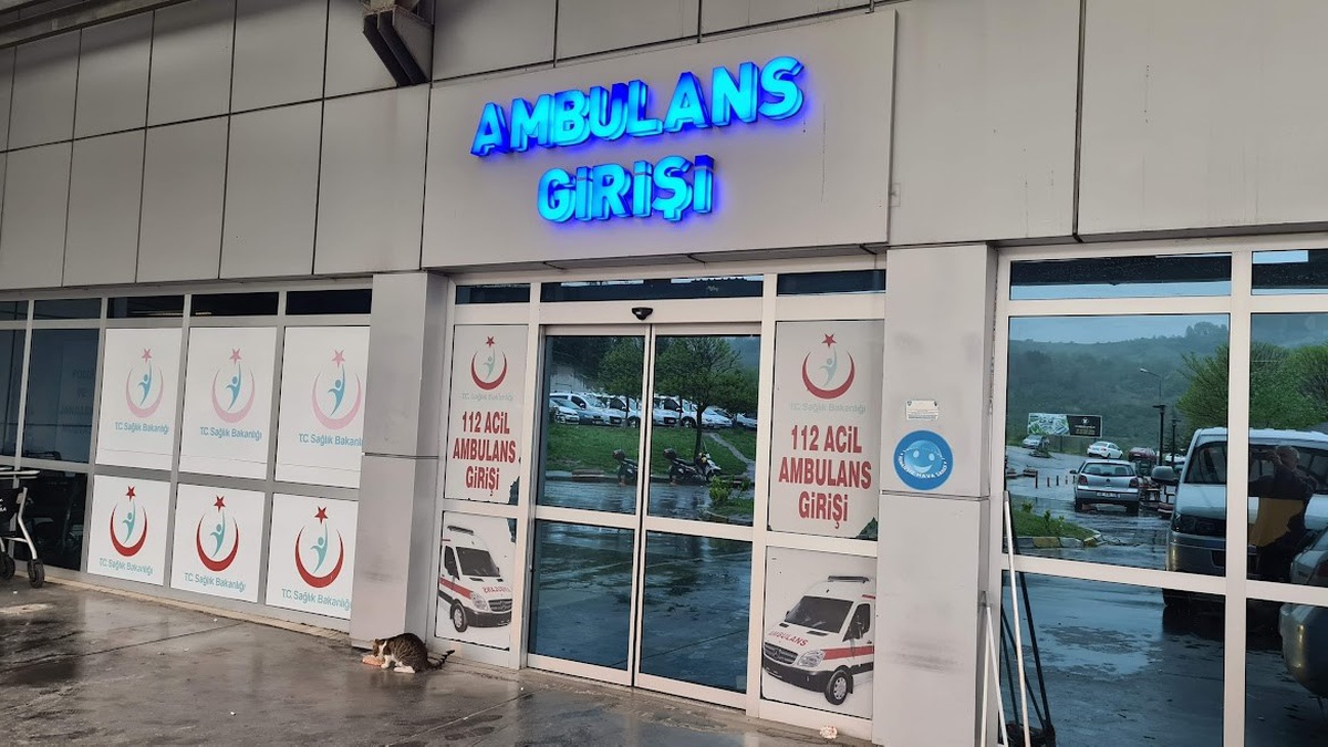 [BELEDIYE · Zonguldak · Alaplı] Zonguldak Alaplı'da ağaçtan düşen kişi ve merdiveni tutan kişi yaralandı