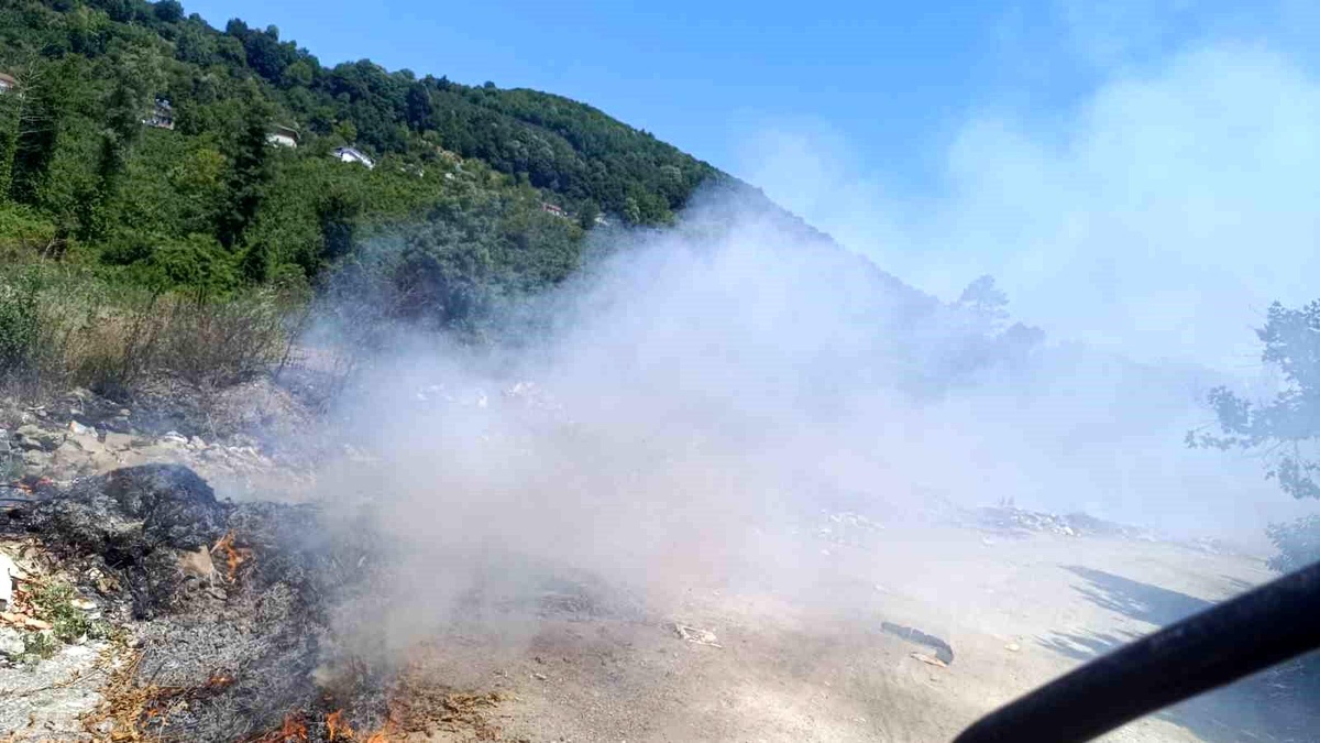 [BELEDIYE · Zonguldak · Alaplı] Mollabey yolunda çöplük yangını paniğe neden oldu