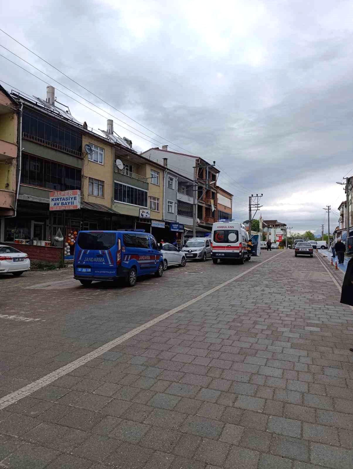 [YEREL / KAMU · Zonguldak · Çaycuma] Alkollü Şahıs Köpeği Isırdı ve Darp Etti