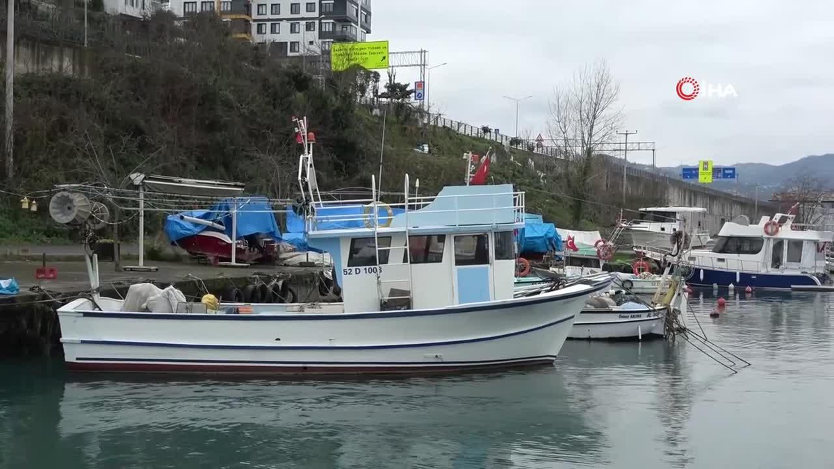 [YEREL / KAMU · Zonguldak · Ereğli] Olumsuz hava şartları sonrası avlanma azaldı, balık fiyatları ikiye katladı