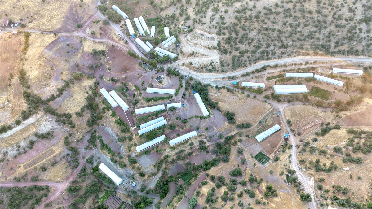 [BELEDIYE · Siirt · Baykan] Siirt'in 'sera köyü'nde üretim artıyor