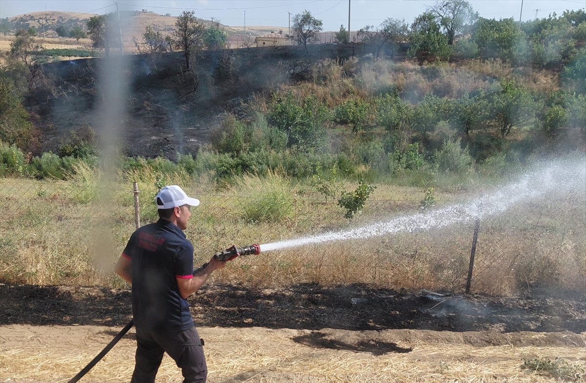 [YEREL / KAMU · Siirt · Kurtalan] Siirt'te Anız Yangını Meyve Bahçesine Sıçradı