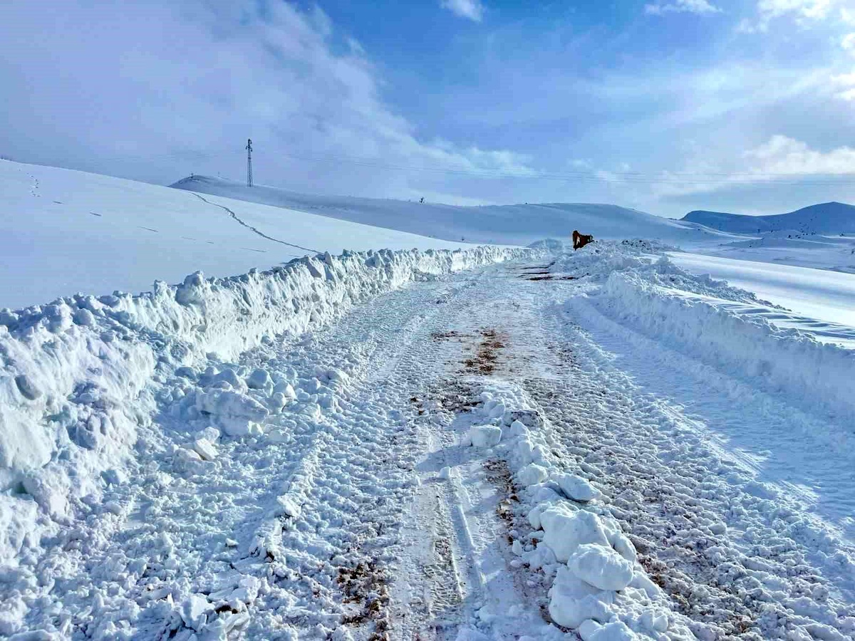 [YEREL / KAMU · Siirt · Pervari] Kar kalınlığının yer yer 2 metreyi bulduğu bölgede yol açma çalışması