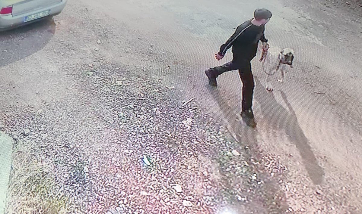 [YEREL / KAMU · Şanlıurfa] Siverek'te Kangal cinsi köpeği iki kişi çaldı, o an kameraya yansıdı