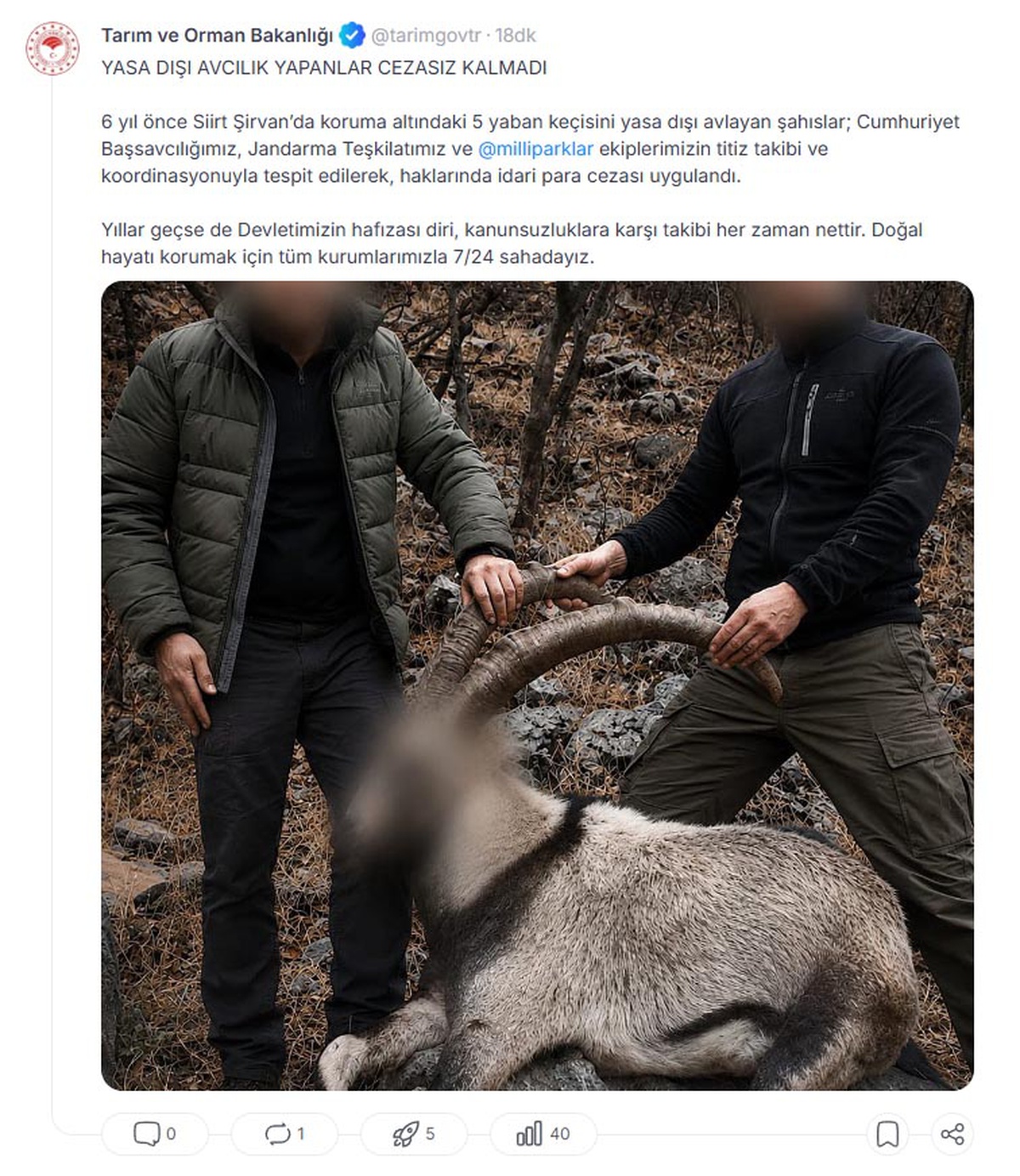 [YEREL / KAMU · Siirt · Şirvan] 6 Yıl Sonra Yakalandılar: Yaban Keçisi Avcılarına Ceza
