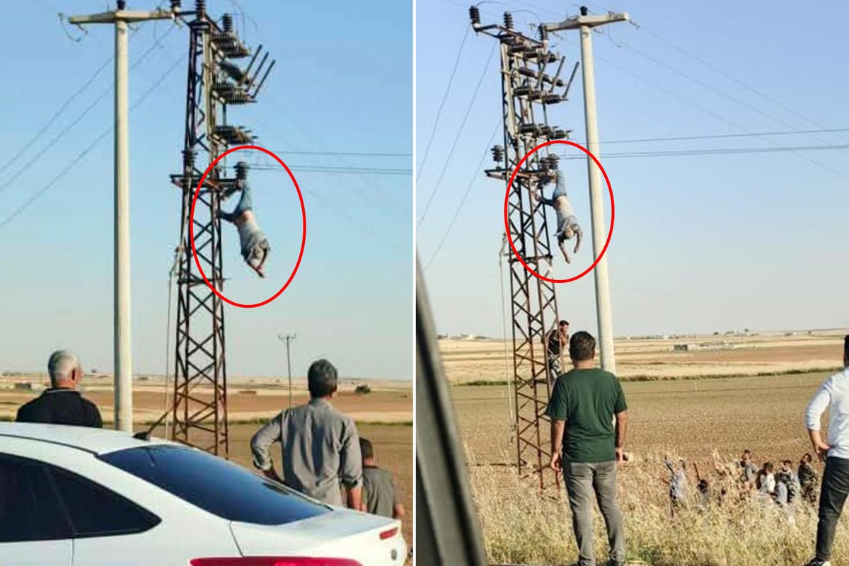 [YEREL / KAMU · Şanlıurfa · Akçakale] Direkte can pazarı! Akıma kapılıp baş aşağı asılı kaldı